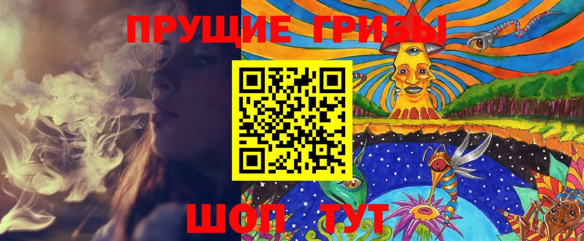 Шахты  Псилоцибиновые грибы Psilocybine cubensis  Вход с VPN 