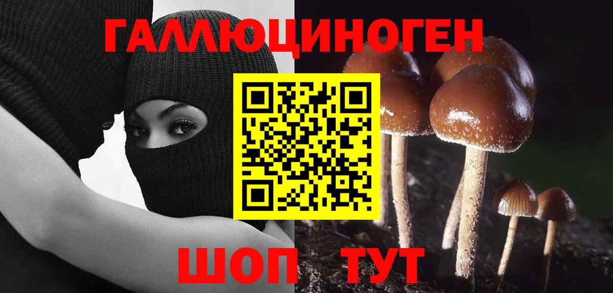 Псилоцибиновые грибы ЛСД Шахты